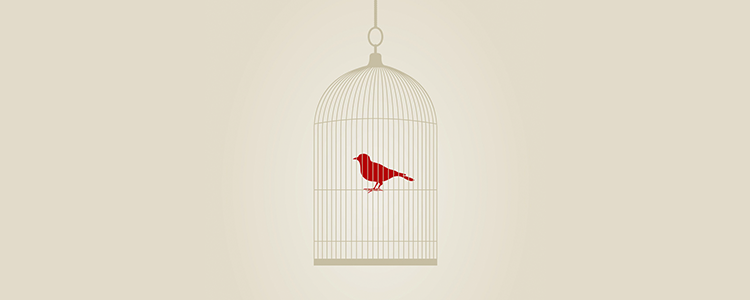 ddos在线攻击